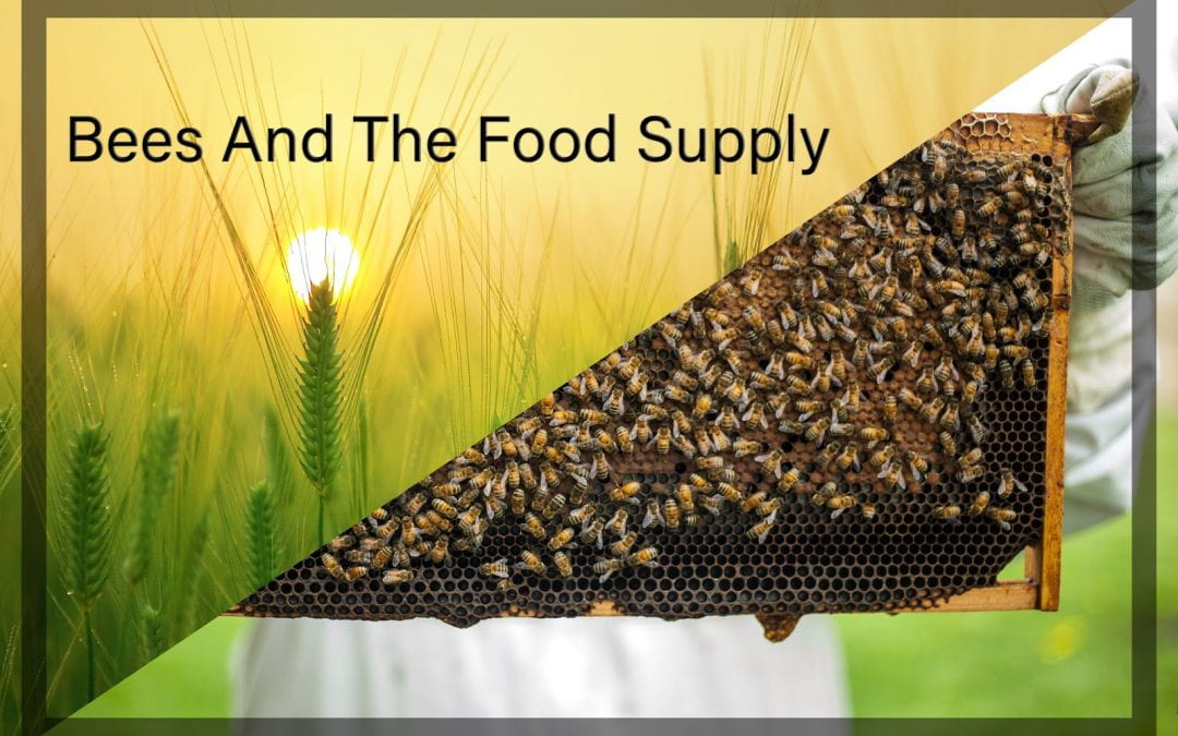 Weekly Beesearch: Food Fight! Bees and Farmers Unite