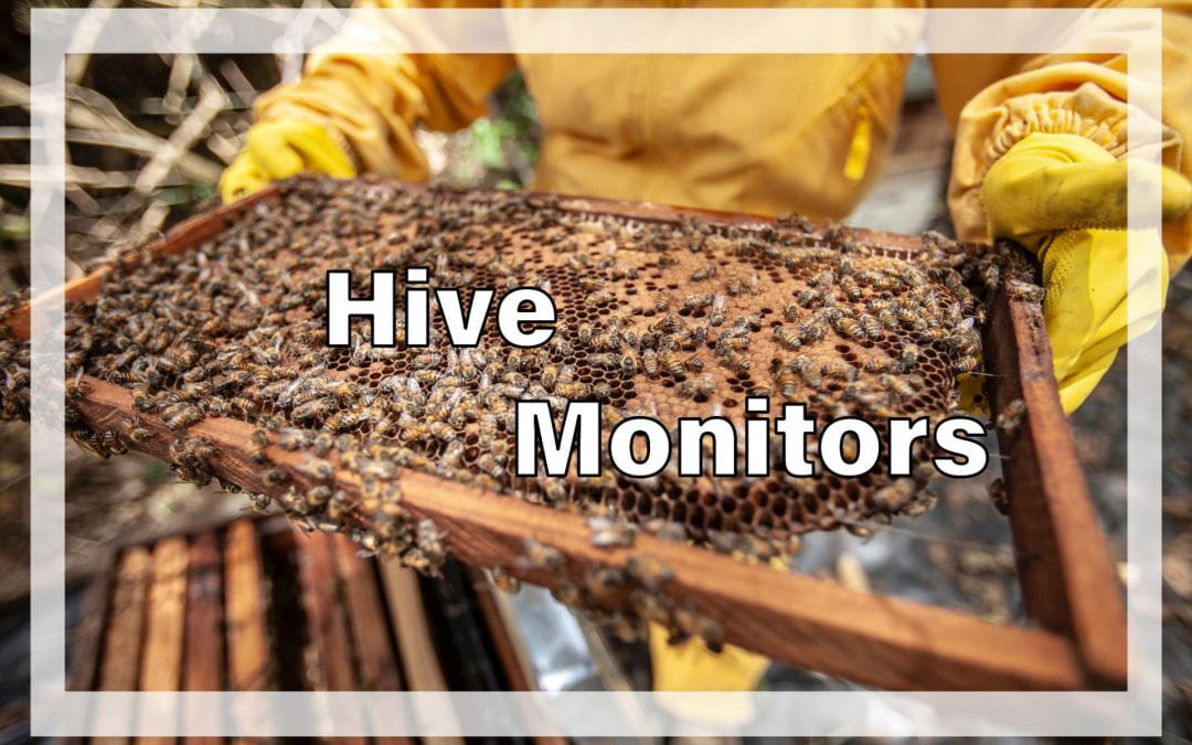 Weekly Beesearch: Arnia Hive Monitors
